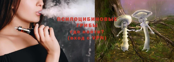 меф Дмитров