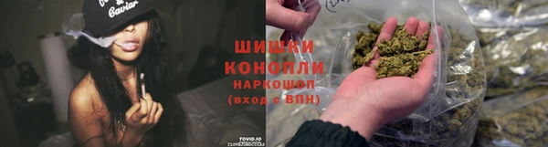 мяу мяу мука Елабуга