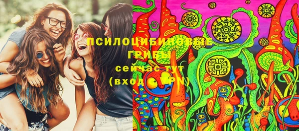 таблы Ельня