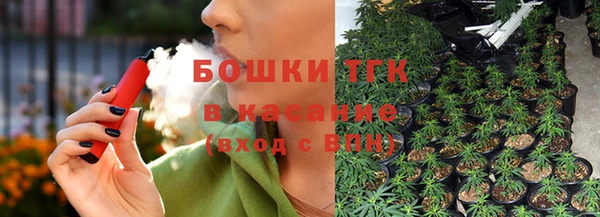 мяу мяу мука Елабуга
