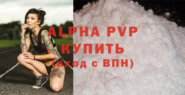 мяу мяу мука Елабуга