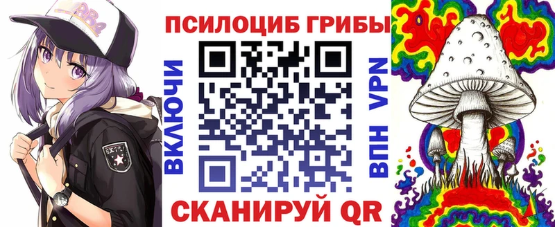 Галлюциногенные грибы прущие грибы  Спасск-Рязанский 